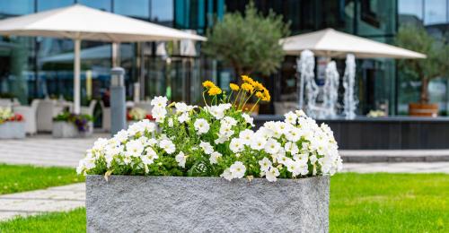 Hotel Stadt Freiburg - image 7