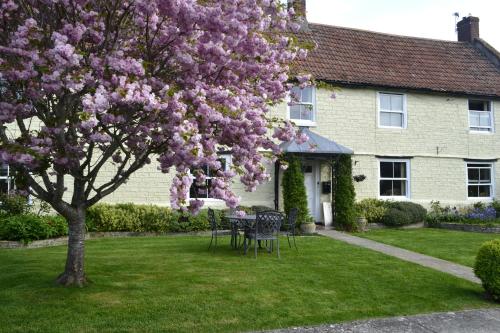 The Lawns Tea Room and B&B