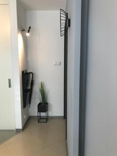 Kazimir Apartament Lodz