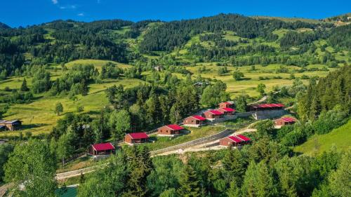 Danzot Tatil Köyü - Chalet - Artvin