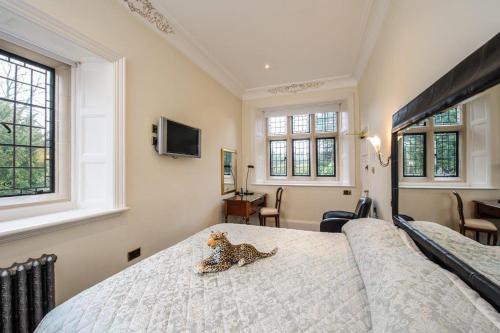 room detail thumbnail 0