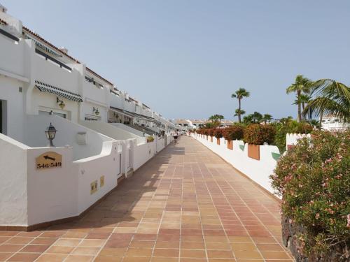 Live Don Jose 204 - image 10