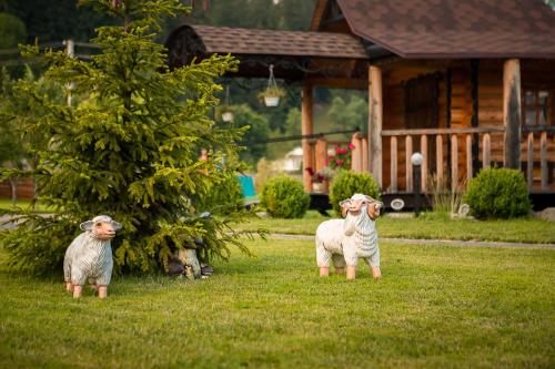 Pannochka, Verchovyna (fotografie 6)
