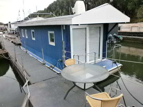 Sportboot Zander - image 13