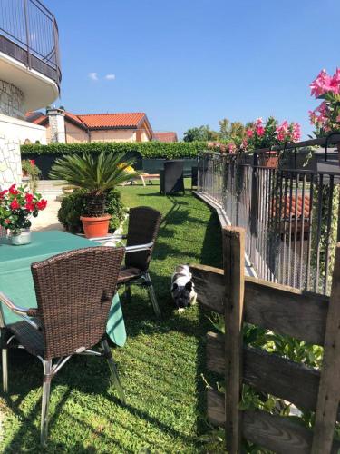 Il Sasso Bianco – Comerio, MD
