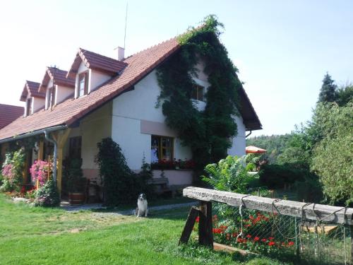 Accommodation in Olbramovice