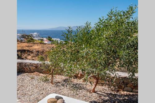 Lilly's seaview Apartment Lilly's seaview Apartment