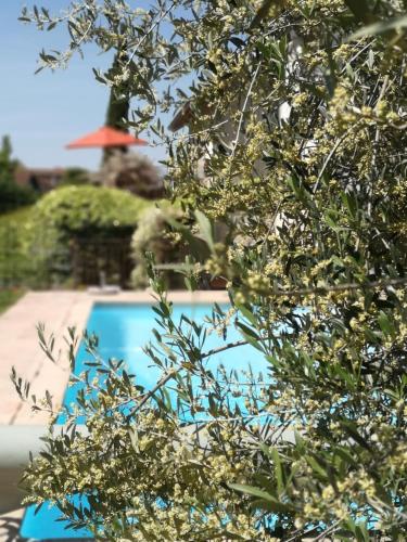 La Petite Chartreuse chambre d'hôte Saint-Étienne-de-Crossey