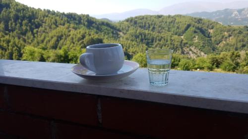Vila Sofia - Guest House - image 6