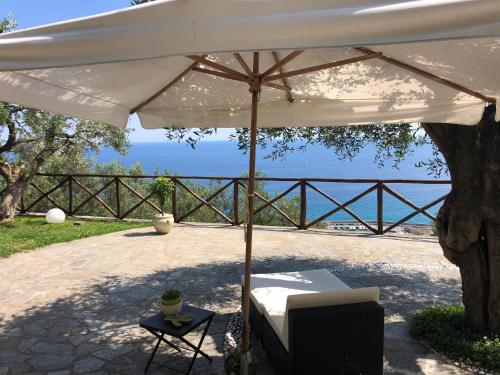 Villa Degli Ulivi B&B 4