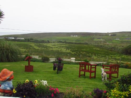 ทัศนียภาพภายนอกโรงแรม, The Yellow Rose B&B in แบลลินา