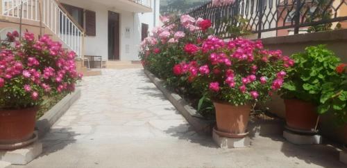 Cheap house near the center of the city - image 8
