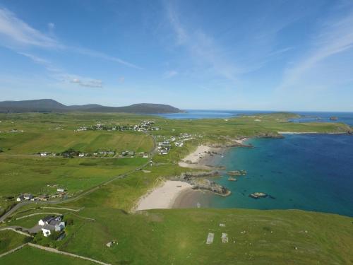 Wallaby’s in 德內斯