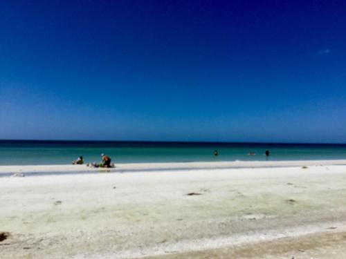 Island House Beach Resort 11N - image 3