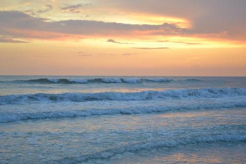Island House Beach Resort 2 - image 4