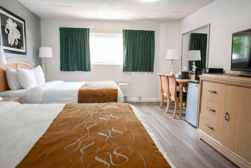 Bedford Motel Bedford Motel is conveniently located in the popular Bedford area. The property features a wide range of facilities to make your stay a pleasant experience. Take advantage of the propertys 24-hour fr