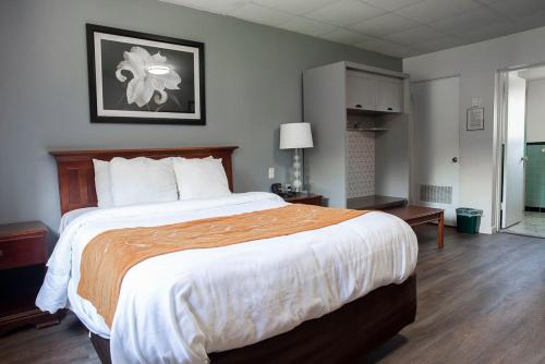 Bedford Motel Bedford Motel is conveniently located in the popular Bedford area. The property features a wide range of facilities to make your stay a pleasant experience. Take advantage of the propertys 24-hour fr