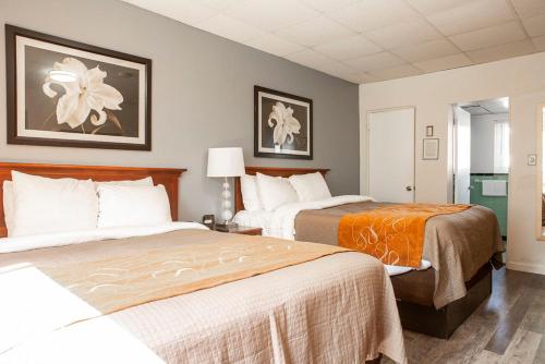 Bedford Motel Bedford Motel is conveniently located in the popular Bedford area. The property features a wide range of facilities to make your stay a pleasant experience. Take advantage of the propertys 24-hour fr