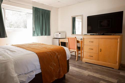 Bedford Motel Bedford Motel is conveniently located in the popular Bedford area. The property features a wide range of facilities to make your stay a pleasant experience. Take advantage of the propertys 24-hour fr