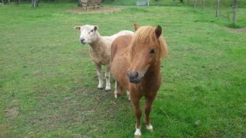 les quarte vents chambre d'hôte Forêt de Veyrac