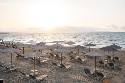 Elia Agia Marina Hotel in Agia Marina