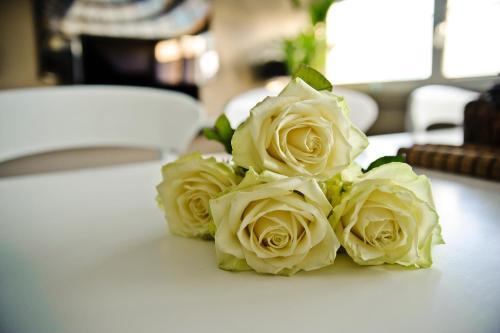 Hotel Rosenmeer - image 9