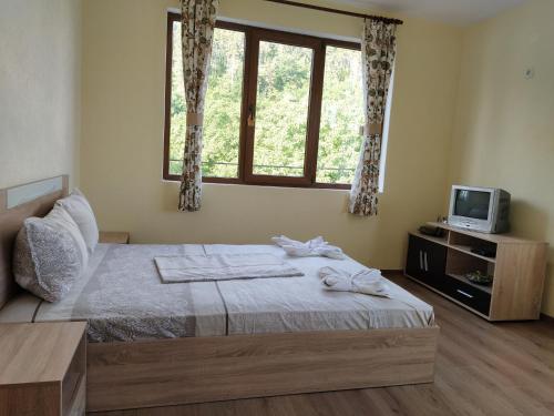 Guest House Proynovi