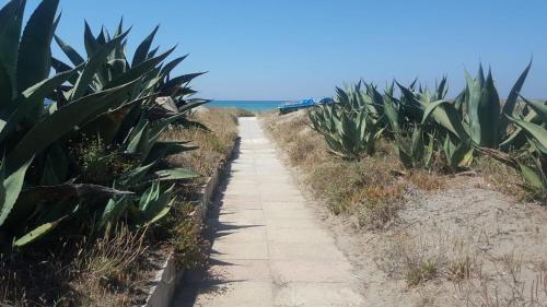 Villino Fronte Mare