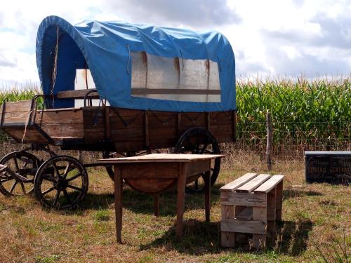 Camping sauvage à la ferme dans un chariot de western pour 1 à 2 personnes gîte à louer Névy-lès-Dole