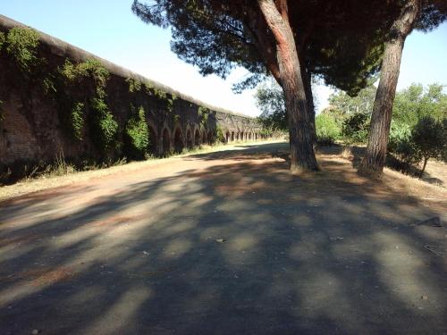 B&B METRO' CENTRAL LINE --ONLY WC IN ROOMS---one train every 2 minutes- id reg lazio 11644 - image 3