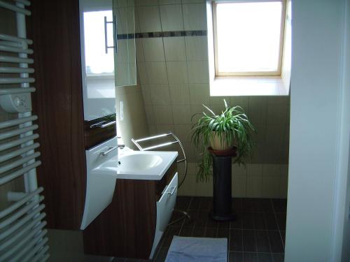 chez monika - image 5