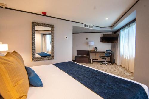 1 king bed