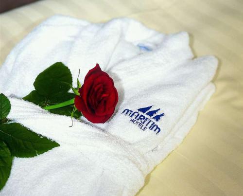 Maritim Hotel Frankfurt, Frankfurt/Main (photo 10)