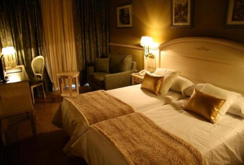Hotel & SPA Bringué, Ordino (foto 5)