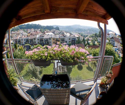 Element – Cesky Krumlov/Krumau, TN