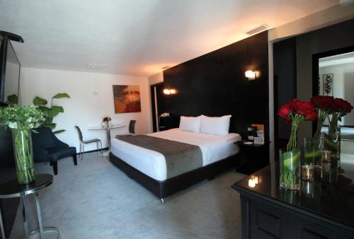 Stay Inn Hotels in Reynosa