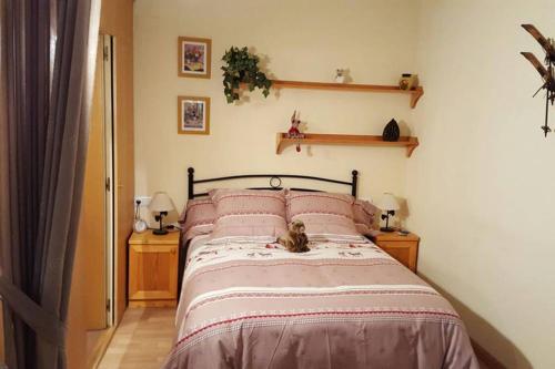  Apartamento en el centro de Camprodon in Camprodon