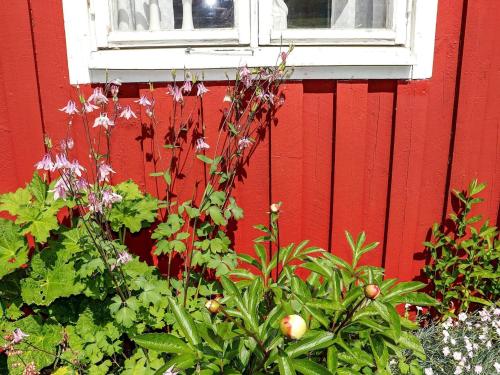 Holiday home Slöinge - image 6