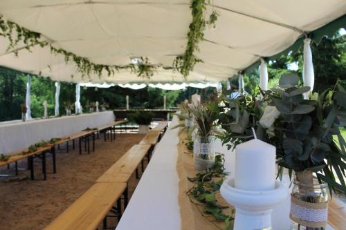 Sruby Haida in เซอร์เวนี คอสเตเลซ