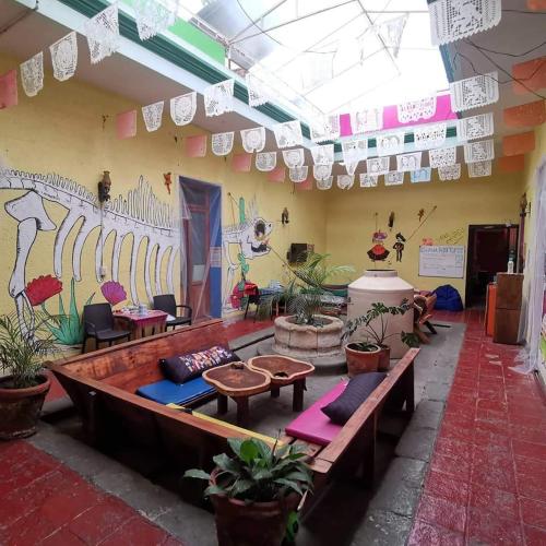 Iguana Hostel Oaxaca Oaxaca