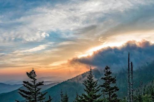 Downtown Gatlinburg Gem 102 - Walk to the Shops & Trails Downtown Gatlinburg Gem 102 - Walk to the Shops & Trails