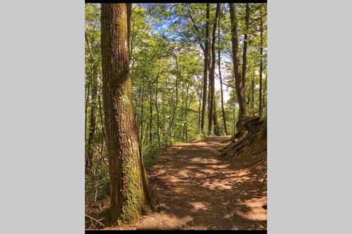 Downtown Gatlinburg Gem 102 - Walk to the Shops & Trails Downtown Gatlinburg Gem 102 - Walk to the Shops & Trails