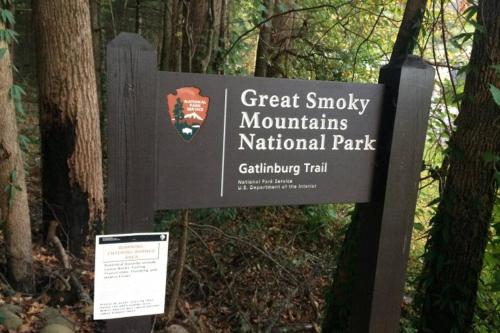 Downtown Gatlinburg Gem 102 - Walk to the Shops & Trails Downtown Gatlinburg Gem 102 - Walk to the Shops & Trails