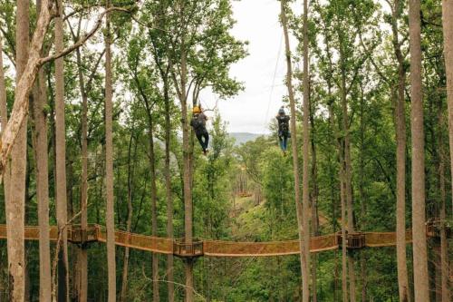 Downtown Gatlinburg Gem 102 - Walk to the Shops & Trails Downtown Gatlinburg Gem 102 - Walk to the Shops & Trails