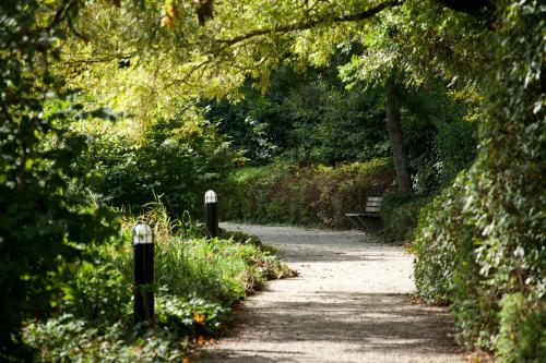 شلوس هوهينكامير شلوس هوهينكامير