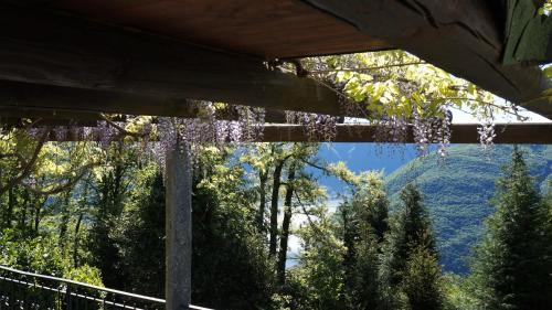 Casa Barbara - eine Oase der Ruhe oberhalb des Lago di Lugano