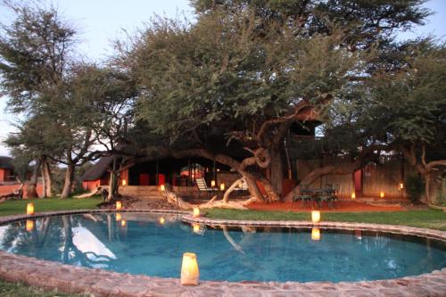 Swimming pool, Camelthorn Kalahari Lodge in Stampriet