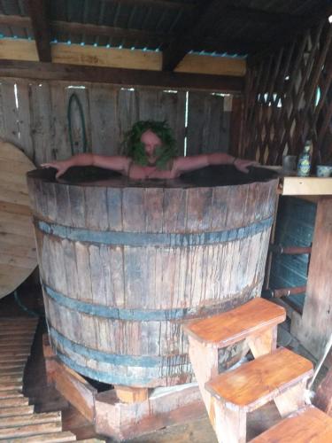 Садиба Під Чертежиком in Kolochava