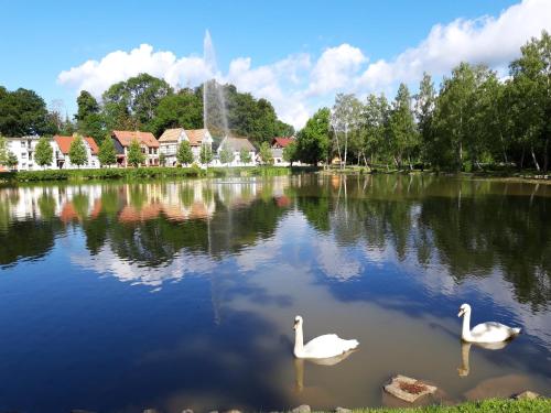 Tuvākā izklaides vieta, Ferienhaus am Riesenberg in Ellrich