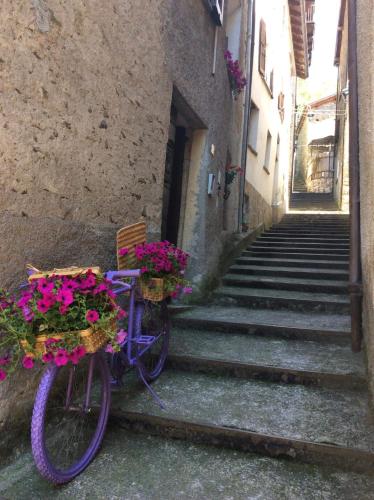 Perla nelle Orobie gîte à louer Alpe Olza